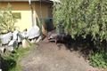 hrošíci vZOO (1)