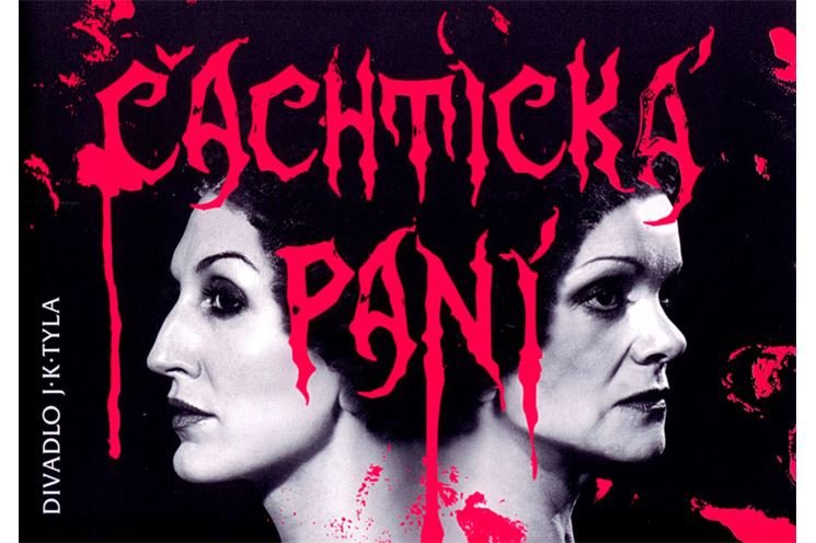 cachticka_pani_v cachticka_pani_v