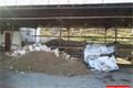 hradiště 15_dubna 2012 (5)