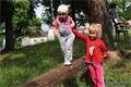 img00012