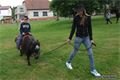 img00020