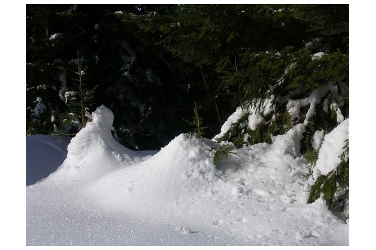 Šumava 2006 (24)