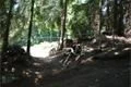 DSC03268