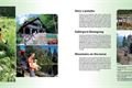 sumava7