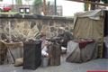 Oslavy Bolevec 630 let (4)