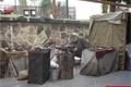 Oslavy Bolevec 630 let (4)