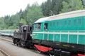 rysí slavnosti (30)