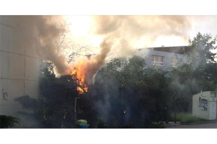 požár křoví, foto MěP Plzeň požár křoví, foto MěP Plzeň