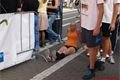 Run Up 2012 (83)