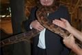 zrekonstruované expozice pavilonu Z (9)