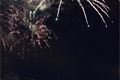 8781_resize