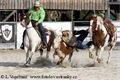 Prorodeo1