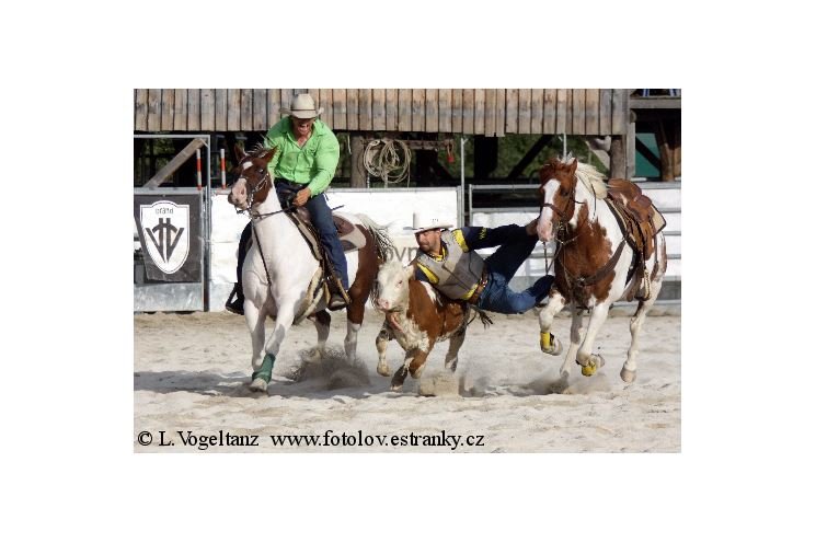 Prorodeo1
