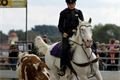 Prorodeo2