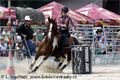 Prorodeo3