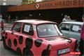 hradiste_expedice _rujana (9)