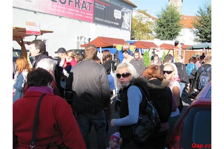 IMG_0021 IMG_0021