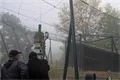 SDC12475