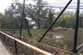 SDC12495