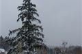 Zima dorazila v sobotu 27. října na Železnou Rudu
