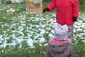 DSC03118