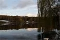 DSC03075