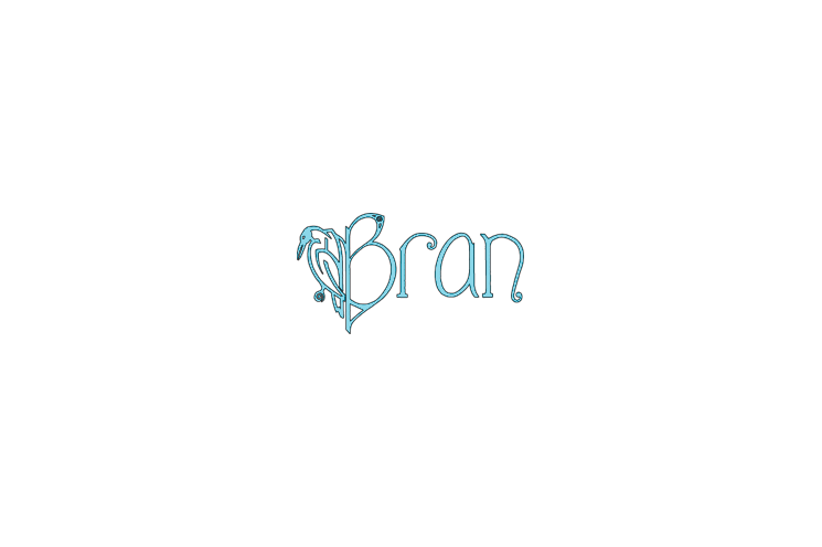 bran_logo bran_logo