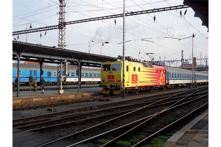 SDC12579 SDC12579