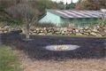 DSC03421