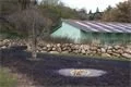 DSC03423
