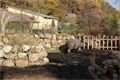 DSC03439