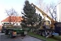 SDC13200