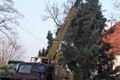 SDC13211