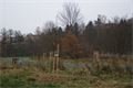 DSC03515