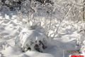 železnorudsko_1_12_2012 (15)