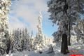 železnorudsko_1_12_2012 (19)