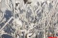 železnorudsko_1_12_2012 (23)