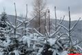 železnorudsko_1_12_2012 (36)