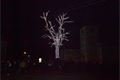 DSCN0707