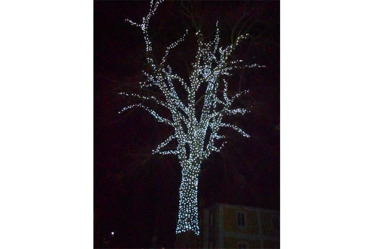 DSCN0709