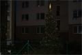 DSC03967