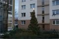 DSC03964