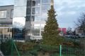 DSC03955