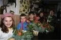 foto 255