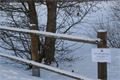 DSC04366