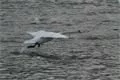 Snímek 014