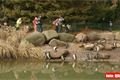 ZOO_Plzen_27_02_2012 (5)
