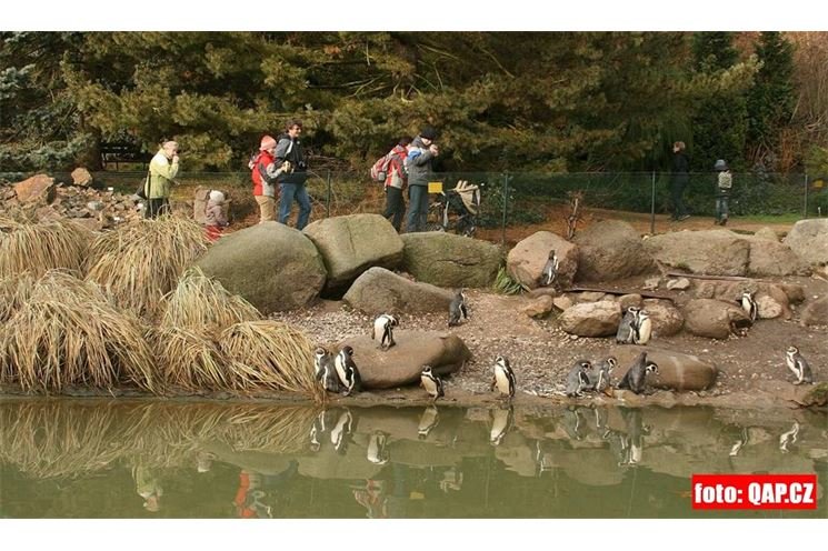 ZOO_Plzen_27_02_2012 (5) ZOO_Plzen_27_02_2012 (5)