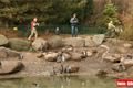 ZOO_Plzen_27_02_2012 (8)