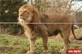 ZOO_Plzen_27_02_2012 (11)